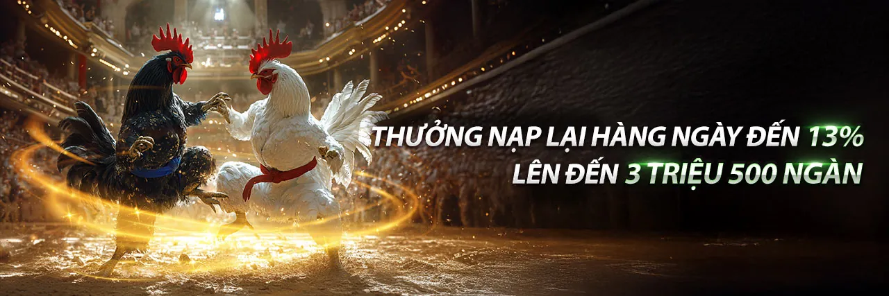 Giao diện sòng bạc trực tuyến b66 đá gà hiện đại với các trò chơi hấp dẫn